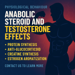 BigBody.to - Buy Lazy